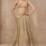 Radiant Gilded Chevron Lehenga Set