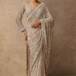 Champagne Shimmer Embroidered Saree